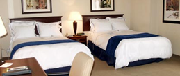 Executive-Suite